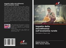 Copertina di Impatto della microfinanza sull'economia rurale