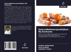 Buchcover von Onkruidbeheerspraktijken Bij Kurkuma