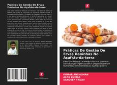 Copertina di Práticas De Gestão De Ervas Daninhas No Açafrão-da-terra