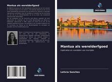 Portada del libro de Mantua als werelderfgoed