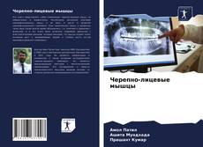 Borítókép a  Черепно-лицевые мышцы - hoz