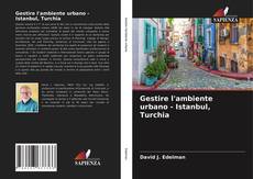 Capa do livro de Gestire l'ambiente urbano - Istanbul, Turchia 