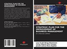 Bookcover of STRATEGIC PLAN FOR THE IMPROVEMENT OF BUSINESS MANAGEMENT