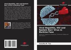 Bookcover of Viral Hepatitis, HIV and Epstein Barr Virus in Burkina Faso