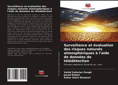 Copertina di Surveillance et évaluation des risques naturels atmosphériques à l'aide de données de télédétection