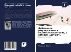 Buchcover von Дублинское регулирование и социальный контроль, о которых идет речь