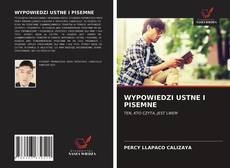 WYPOWIEDZI USTNE I PISEMNE kitap kapağı