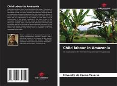 Bookcover of Child labour in Amazonia