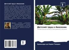 Capa do livro de Детский труд в Амазонии 