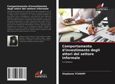 Bookcover of Comportamento d'investimento degli attori del settore informale