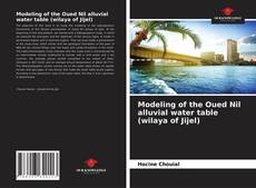 Bookcover of Modeling of the Oued Nil alluvial water table (wilaya of Jijel)