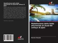 Bookcover of Modellazione della falda alluvionale di Oued Nil (wilaya di Jijel)