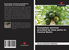 Bookcover of Ecosystem services provided by shea parks in Central Benin