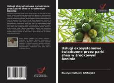 Buchcover von Usługi ekosystemowe świadczone przez parki shea w środkowym Beninie