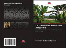 Couverture de Le travail des enfants en Amazonie