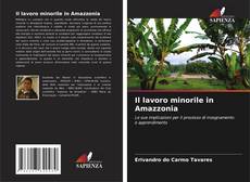 Portada del libro de Il lavoro minorile in Amazzonia