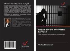 Więźniowie w koloniach karnych kitap kapağı