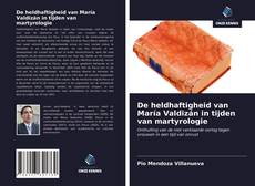 Buchcover von De heldhaftigheid van María Valdizán in tijden van martyrologie