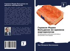 Buchcover von Героизм Марии Вальдизан во времена мартирологии