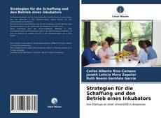 Capa do livro de Strategien für die Schaffung und den Betrieb eines Inkubators 