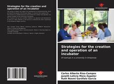 Strategies for the creation and operation of an incubator的封面