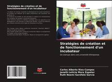 Copertina di Stratégies de création et de fonctionnement d'un incubateur