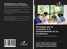 Copertina di Strategie per la creazione e il funzionamento di un incubatore