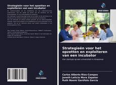 Bookcover of Strategieën voor het opzetten en exploiteren van een incubator