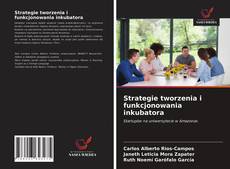 Bookcover of Strategie tworzenia i funkcjonowania inkubatora
