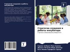Стратегии создания и работы инкубатора kitap kapağı