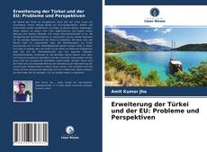 Capa do livro de Erweiterung der Türkei und der EU: Probleme und Perspektiven 