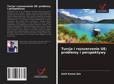 Bookcover of Turcja i rozszerzenie UE: problemy i perspektywy