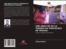 Bookcover of UNE ANALYSE DE LA THÉORIE DU PROCESSUS DE TRAVAIL