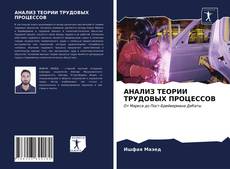 Buchcover von АНАЛИЗ ТЕОРИИ ТРУДОВЫХ ПРОЦЕССОВ