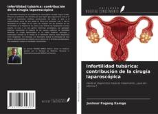 Обложка Infertilidad tubárica: contribución de la cirugía laparoscópica