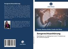 Bookcover of Sorgerechtsanhörung