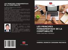 Bookcover of LES PRINCIPES FONDAMENTAUX DE LA COMPTABILITÉ