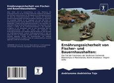 Ernährungssicherheit von Fischer- und Bauernhaushalten: kitap kapağı