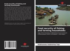 Food security of fishing and farming households:的封面