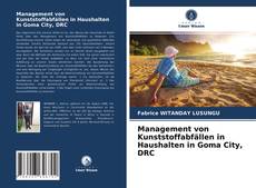 Copertina di Management von Kunststoffabfällen in Haushalten in Goma City, DRC