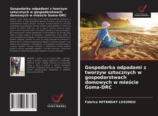Portada del libro de Gospodarka odpadami z tworzyw sztucznych w gospodarstwach domowych w mieście Goma-DRC
