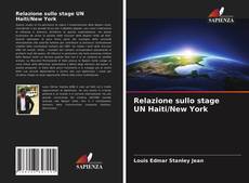 Relazione sullo stage UN Haiti/New York kitap kapağı