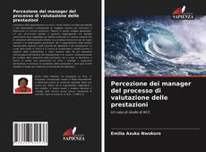 Copertina di Percezione dei manager del processo di valutazione delle prestazioni