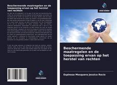 Couverture de Beschermende maatregelen en de toepassing ervan op het herstel van rechten