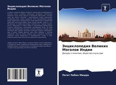 Обложка Энциклопедия Великих Моголов Индии