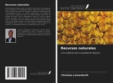 Buchcover von Recursos naturales