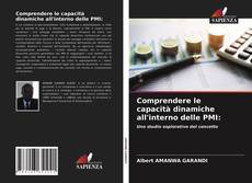 Comprendere le capacità dinamiche all'interno delle PMI: kitap kapağı
