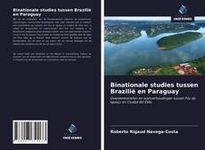 Bookcover of Binationale studies tussen Brazilië en Paraguay