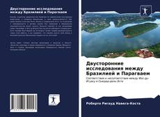 Bookcover of Двусторонние исследования между Бразилией и Парагваем