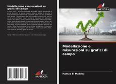 Modellazione e misurazioni su grafici di campo的封面